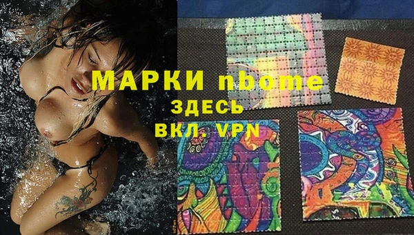 стаф Ельня