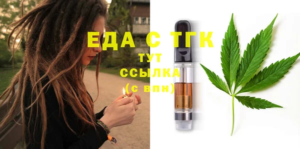 стаф Ельня