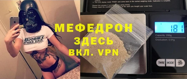 стаф Ельня