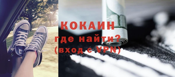 стаф Ельня