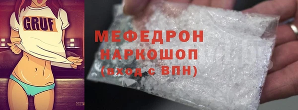 стаф Ельня