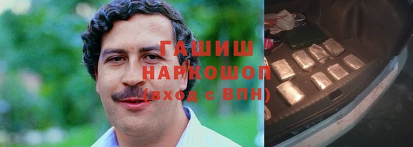 тгк Елизово
