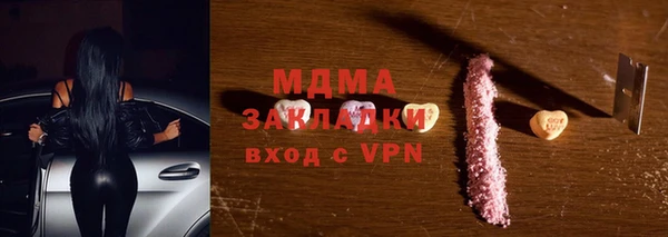 стаф Ельня