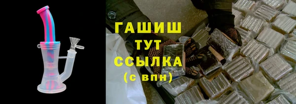 стаф Ельня