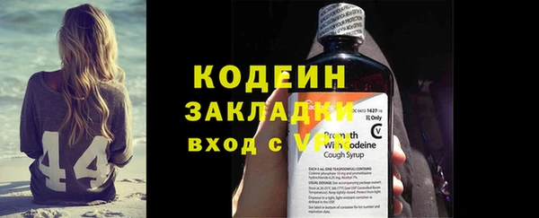 стаф Ельня