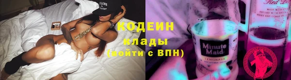 тгк Елизово