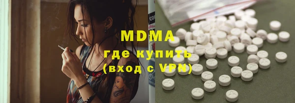 стаф Ельня