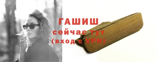стаф Ельня