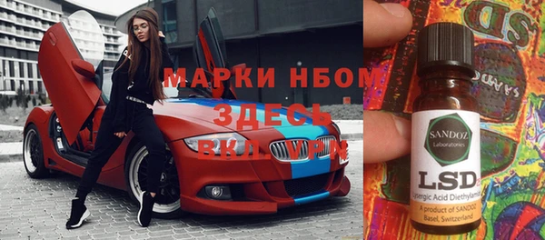 стаф Ельня