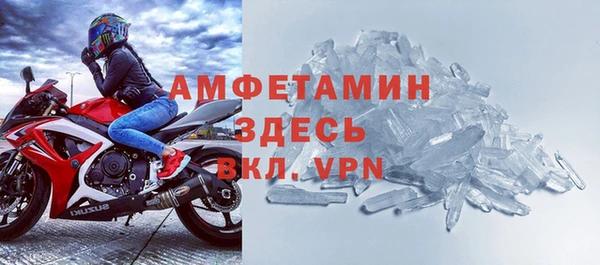 стаф Ельня