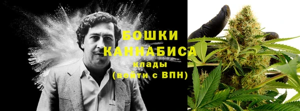 мескалин Елабуга