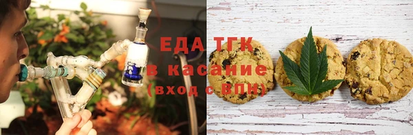 стаф Ельня
