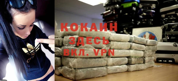 стаф Ельня