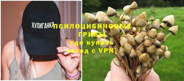 тгк Елизово