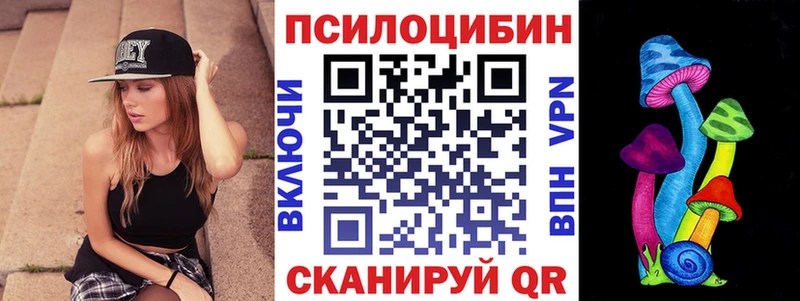 где купить наркотик  гидра как войти  Галлюциногенные грибы Magic Shrooms  Зерноград 